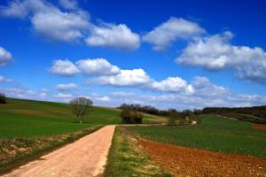 Simbolična fotografija: Narava