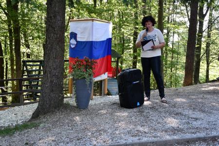 DSC_6167